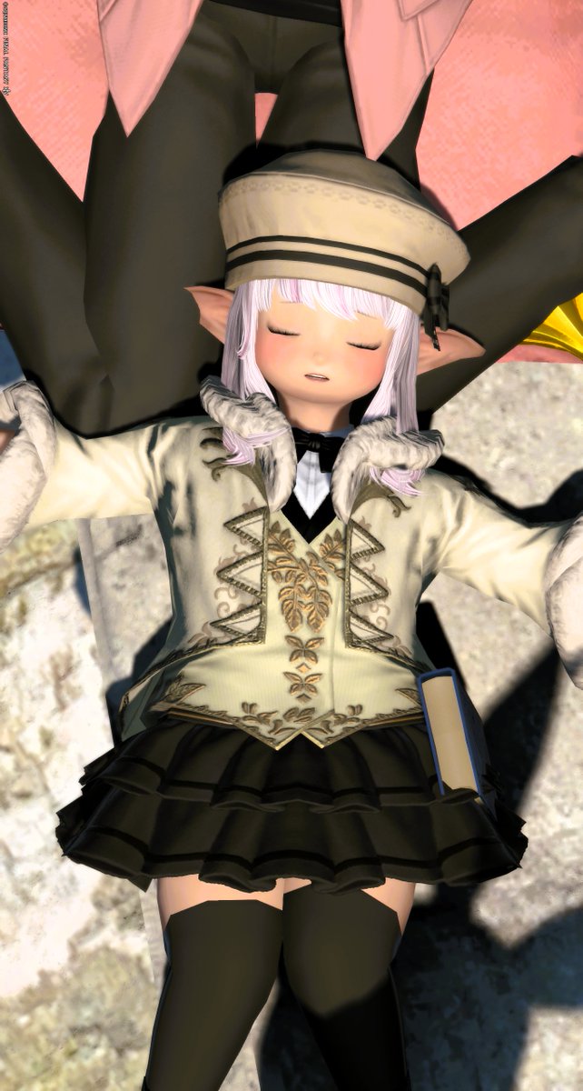MireNoll's tweet photo. 連れて帰りたい！
#Tialala https://t.co/PVqHpQ5oQ4