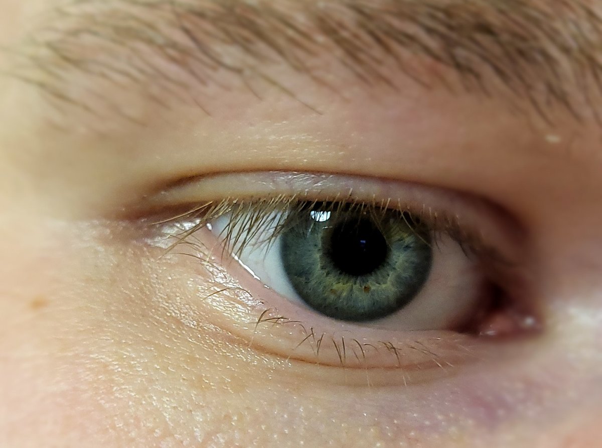 Moss and forest grows in my eyes 🌲🐸