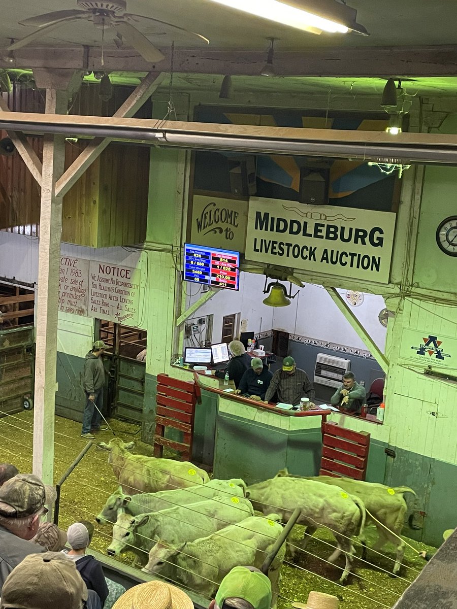 MiloYields's tweet image. 