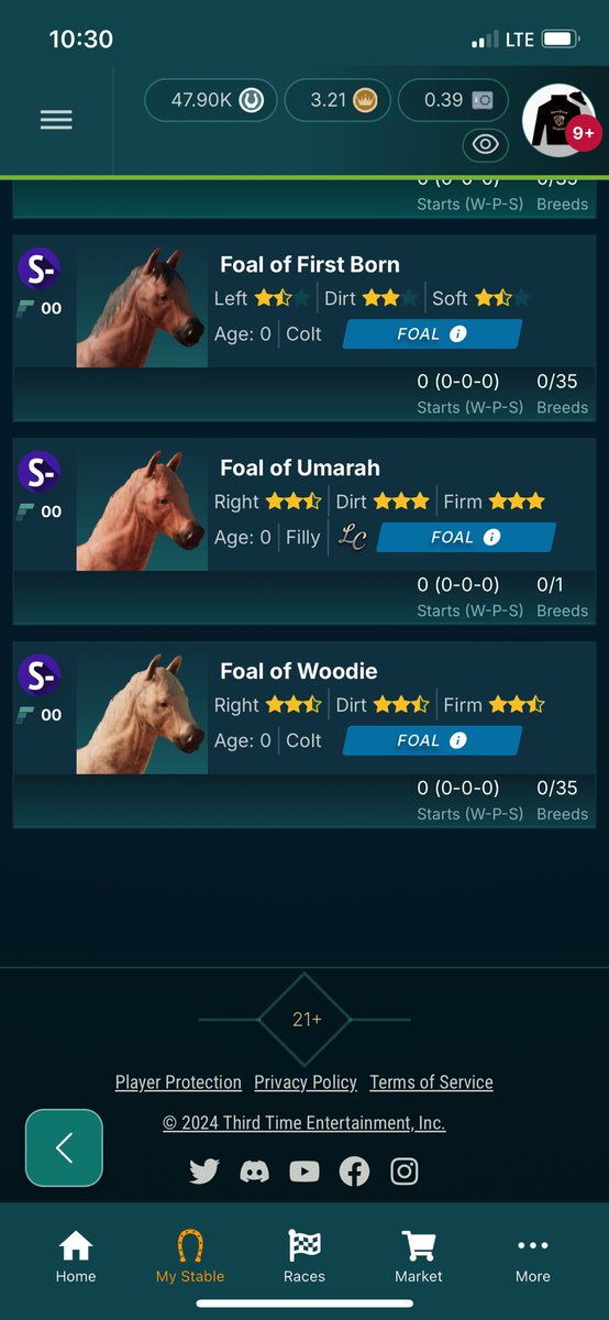 Lerp_sol's tweet image. Happy Foals Day @photofinishgame fam!

We had 12 babies born @HardwoodStables today so it’s been a great day!

1 S+
6 S
5 S-

6 Filly
6 Colt

Will have wombs for rent coming next breeding season! Whether you want in house breeding or do your own!

Season 22 we are gonna go hard…