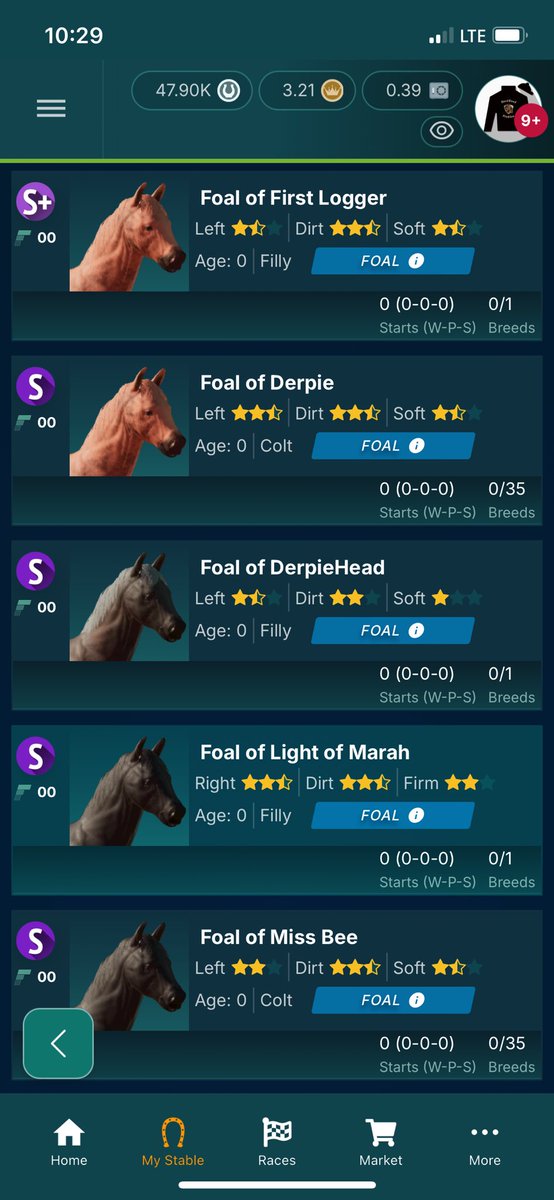 Lerp_sol's tweet image. Happy Foals Day @photofinishgame fam!

We had 12 babies born @HardwoodStables today so it’s been a great day!

1 S+
6 S
5 S-

6 Filly
6 Colt

Will have wombs for rent coming next breeding season! Whether you want in house breeding or do your own!

Season 22 we are gonna go hard…
