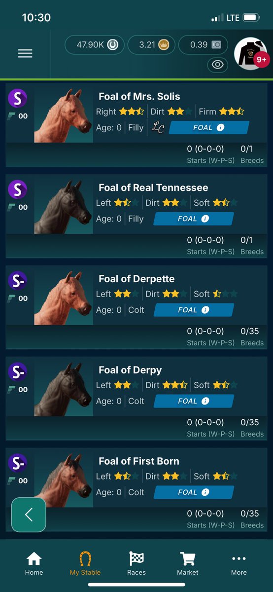 Lerp_sol's tweet image. Happy Foals Day @photofinishgame fam!

We had 12 babies born @HardwoodStables today so it’s been a great day!

1 S+
6 S
5 S-

6 Filly
6 Colt

Will have wombs for rent coming next breeding season! Whether you want in house breeding or do your own!

Season 22 we are gonna go hard…