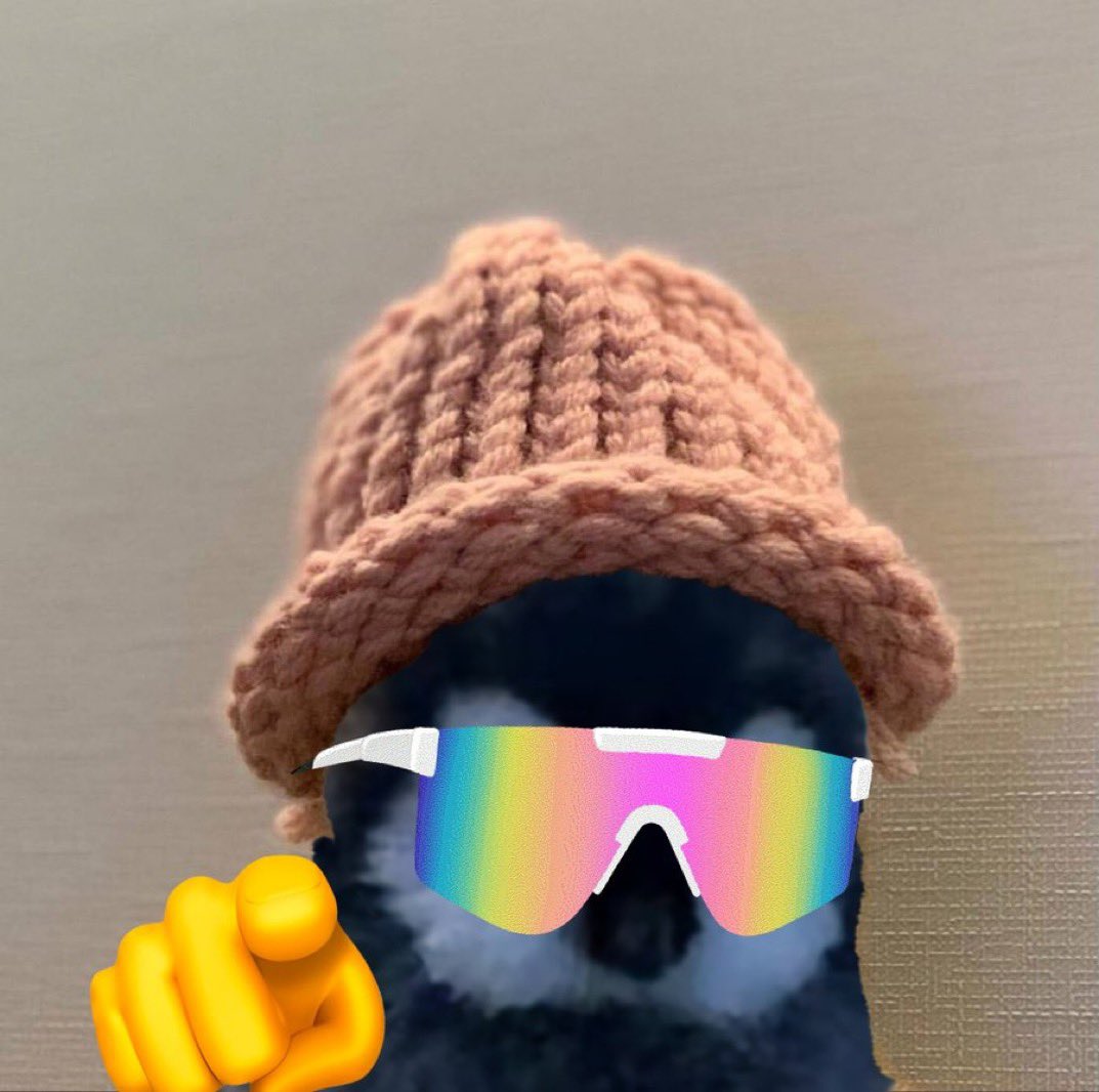 Better Call Larry🐧🐧 tweet media