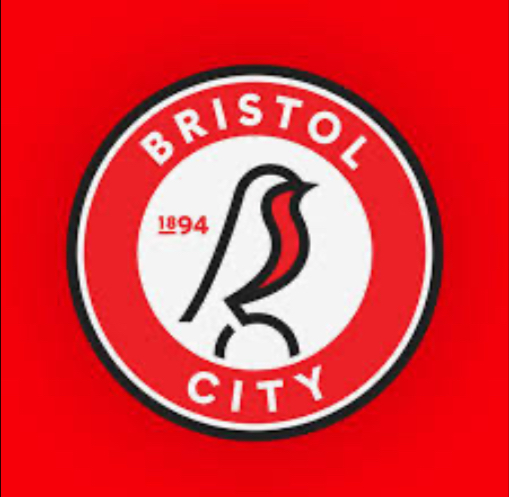 North Somerset RTC tweet media