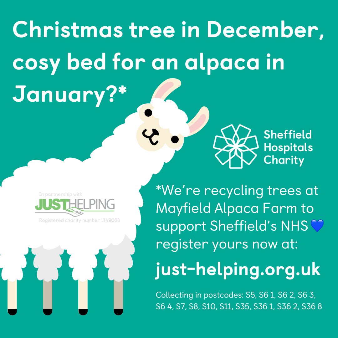Are you getting a real Christmas tree this year? Fancy getting it picked up and recycled in January, helping Sheffield’s NHS, AND supplying cosy bedding for cute alpacas - all at the same time?! 🎄🦙💙

Go to just-helping.org.uk to register your tree now ✨

#Sheffield #NHS