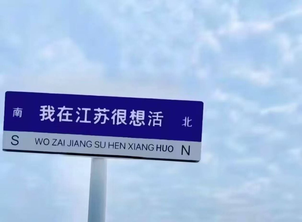 媒体预览