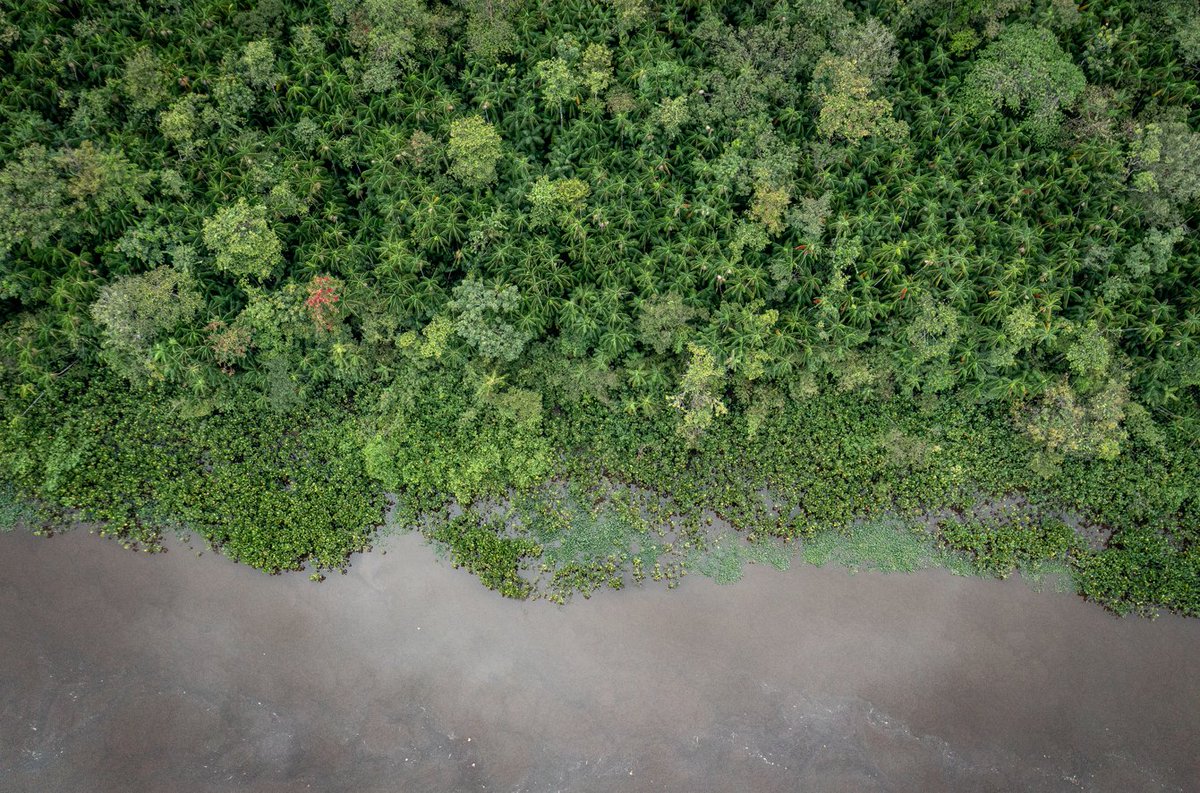 O açaí dos Povos Indígenas do Oiapoque é uma referência no tema da bioeconomia   

Assista o doc mla.bs/11b6dc69 da Nature4Climate e  If Not Us Then Who, c/ apoio da <a href="/ApibOficial/">Apib Oficial</a> <a href="/funaioficial/">Funai</a>  <a href="/TNCBrasil/">TNC Brasil</a> <a href="/instituto_iepe/">Instituto Iepé</a> CCPIO e AMIM 

📷: @priscilatapajowara @jayerenold