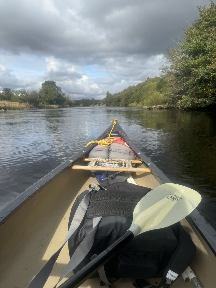 OutClassScot's tweet image. Up the creek, with a paddle though 😜