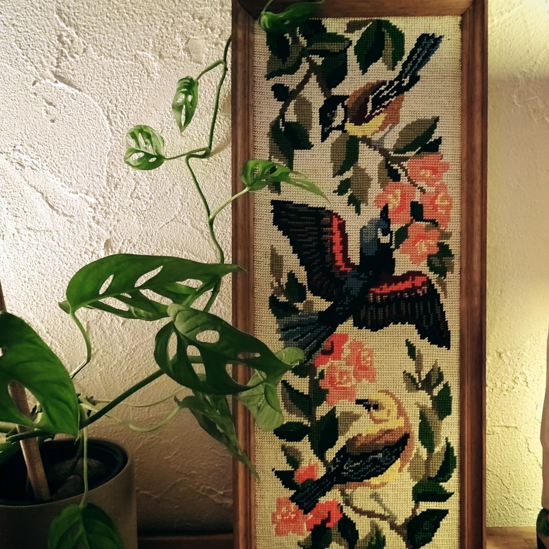 Spooky Shades tweet media