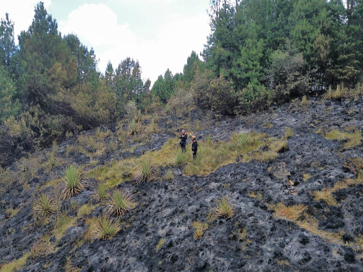 Bomberos_Cuenca's tweet image. ¡Nuestro hogar está en peligro!  
Los incendios forestales arrasan con miles de hectáreas.

Hoy, se trabaja en:
🔥Llaviucu.
🔥Pico de Pescado.
🔥San Antonio - Chaucha.
🔥Cochapamba - Molleturo. 
🔥Yanasacha. 

#YaBasta no es un juego. ✋🔥