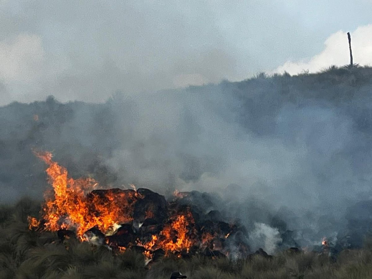 Bomberos_Cuenca's tweet image. ¡Nuestro hogar está en peligro!  
Los incendios forestales arrasan con miles de hectáreas.

Hoy, se trabaja en:
🔥Llaviucu.
🔥Pico de Pescado.
🔥San Antonio - Chaucha.
🔥Cochapamba - Molleturo. 
🔥Yanasacha. 

#YaBasta no es un juego. ✋🔥