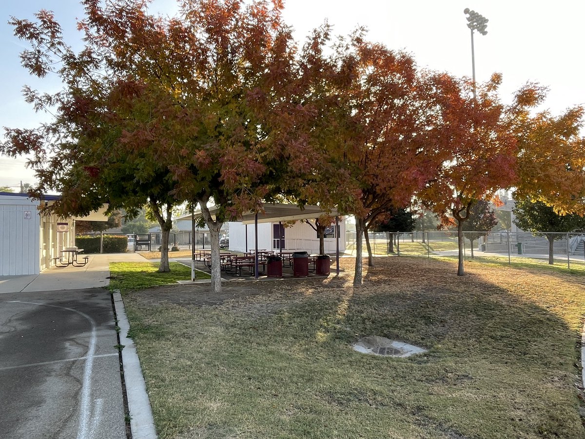 Leaves are starting to #Fall. <a href="/WusdAltEd/">WUSD AltEd</a> Easton High campus is super nice this time of year. 🍂🍁