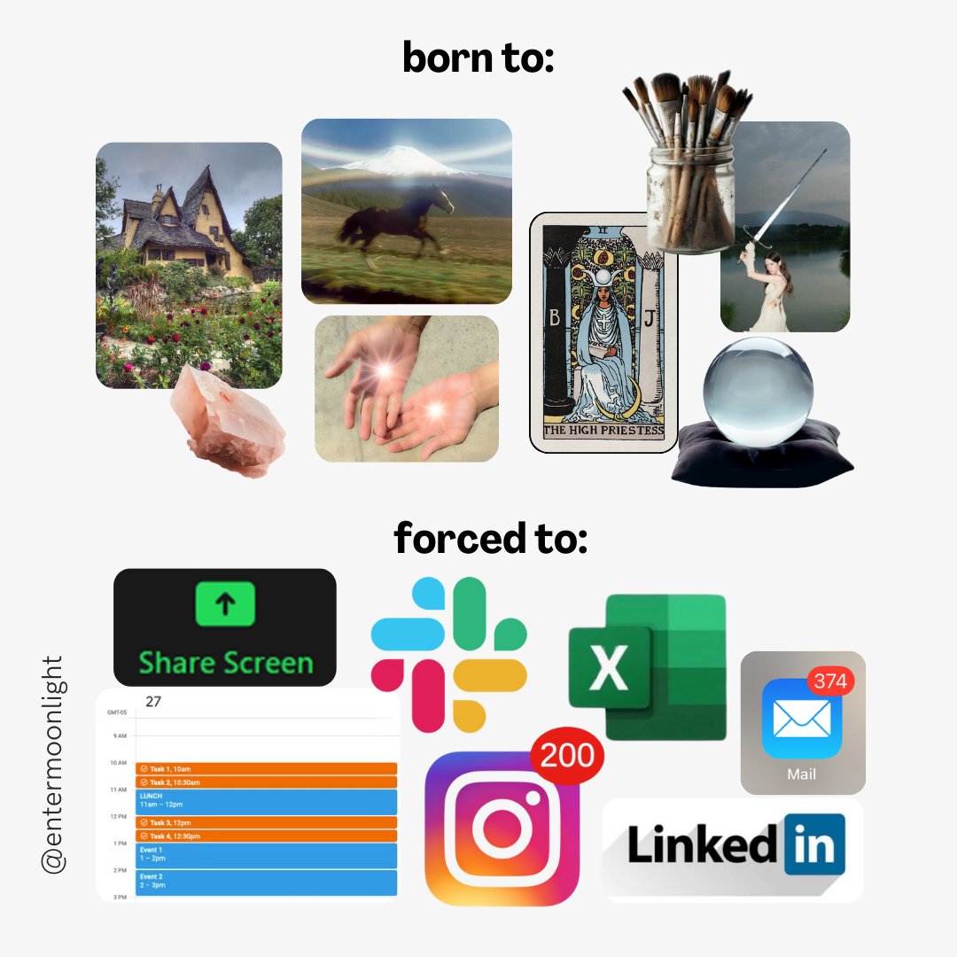 Moonlight tweet media