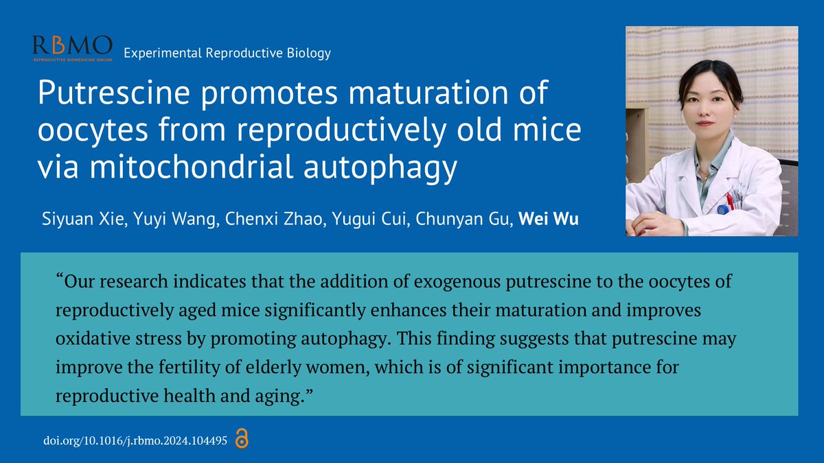 Reproductive BioMedicine Online (@rbmonline) on Twitter photo In this study, Wei Wu and team in Nanjing, use mice IVM to explore the effect of putrescine on the in vitro maturation of oocytes from reproductively old mice.
doi.org/10.1016/j.rbmo… In this study, Wei Wu and team in Nanjing, use mice IVM to explore the effect of putrescine on the in vitro maturation of oocytes from reproductively old mice.
doi.org/10.1016/j.rbmo…