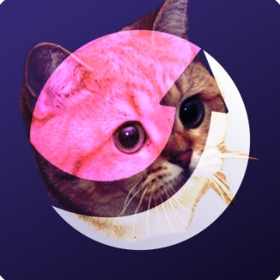 0xbfr's tweet photo. @moonshot A very special, ancient #4chan cat is missing.

Wen $HELIA the StareCat?? https://t.co/R6gKZDx6zX