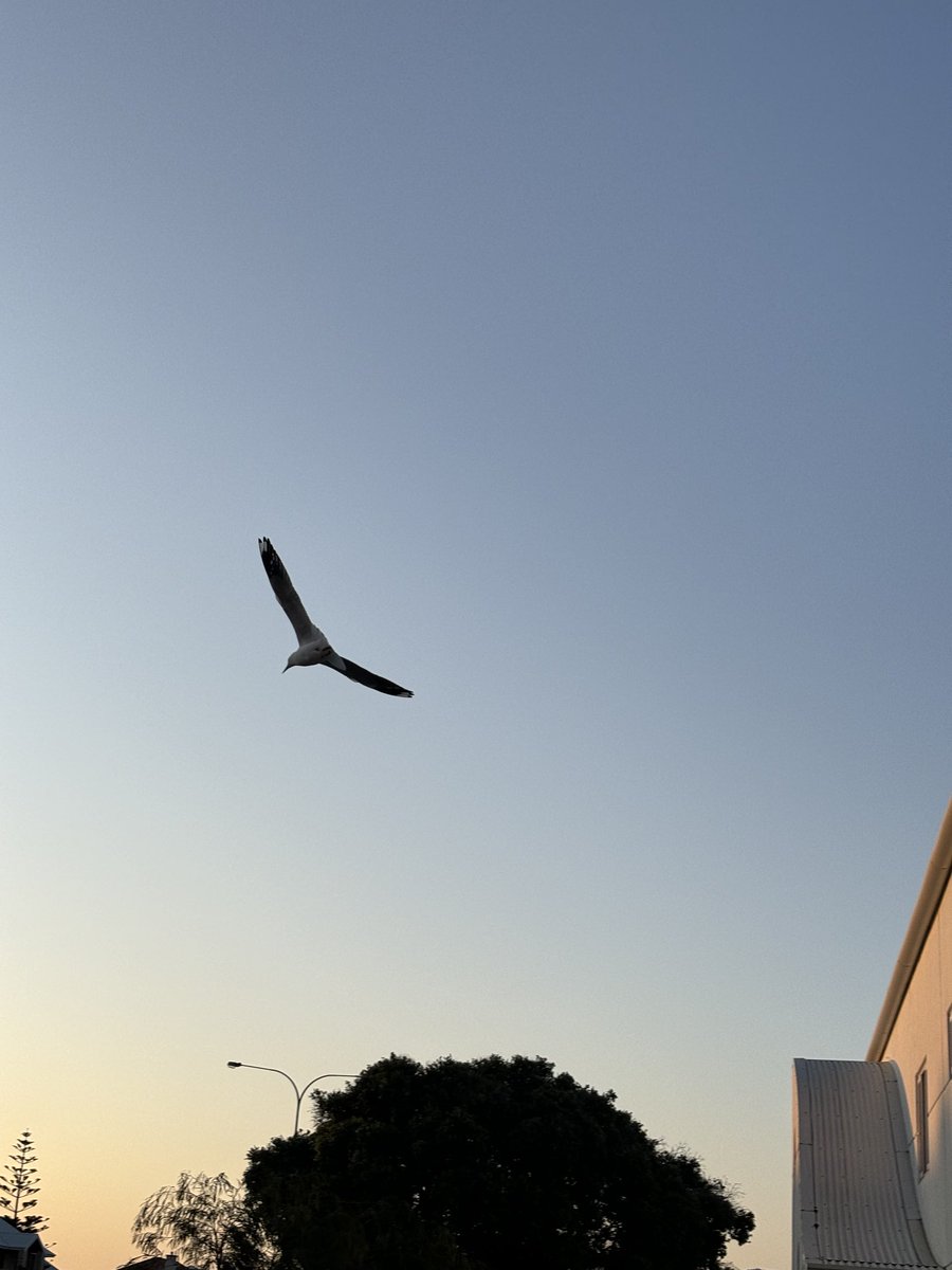 Asan Akpan tweet media