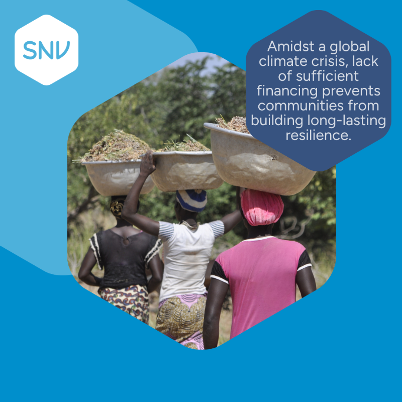 SNVworld's tweet photo. 🌍 Closing the #ClimateFinance gap is crucial for locally-led climate action. Unlocking &amp; de-risking investments helps businesses overcome barriers, driving progress toward a climate-resilient future.

Local action for global impact.

#SNVImpactThatMatters
https://t.co/MleB5nOfbl