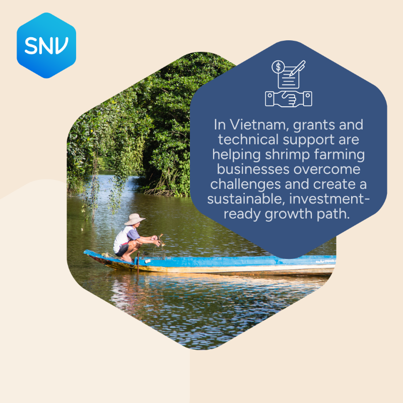 SNVworld's tweet photo. 🌍 Closing the #ClimateFinance gap is crucial for locally-led climate action. Unlocking &amp; de-risking investments helps businesses overcome barriers, driving progress toward a climate-resilient future.

Local action for global impact.

#SNVImpactThatMatters
https://t.co/MleB5nOfbl