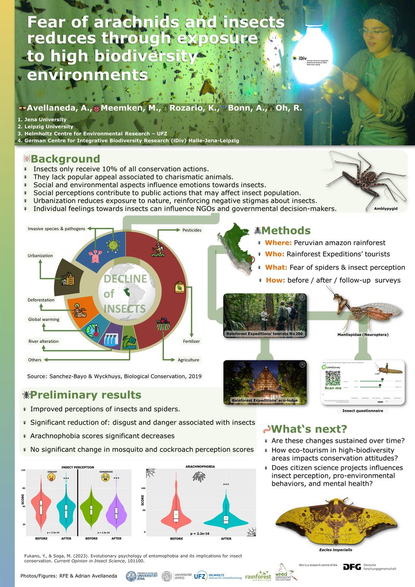 Adrian Gustavo Avellaneda Vergara (@adrian_avella) on Twitter photo My poster won the third place at <a href="/idiv/">iDiv Biodiversity Research</a> conference 2024
This was possible thanks to <a href="/AlettaBonn/">Aletta Bonn</a>, Kevin Rozario, Marie Meemken and Rachel Oh
Huge thanks to <a href="/RainforestEx/">Rainforest Expeditions</a> team, whose eco-lodges and dedication to sustainable tourism, provided the perfect setting for this research. My poster won the third place at <a href="/idiv/">iDiv Biodiversity Research</a> conference 2024
This was possible thanks to <a href="/AlettaBonn/">Aletta Bonn</a>, Kevin Rozario, Marie Meemken and Rachel Oh
Huge thanks to <a href="/RainforestEx/">Rainforest Expeditions</a> team, whose eco-lodges and dedication to sustainable tourism, provided the perfect setting for this research.