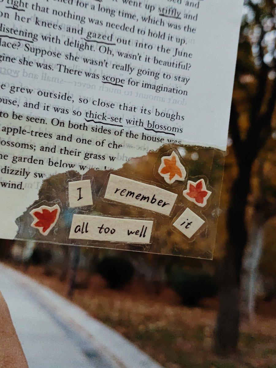 MnO2_26's tweet image. What I experienced in autumn...
#taylorswift #taylorswiftred #vlog