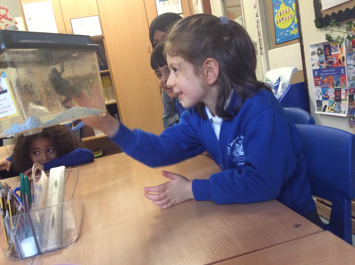 CJ_Year1's tweet photo. Maple Class has an amazing time classifying animals with @ZooLabUK https://t.co/hcczrIjtMD