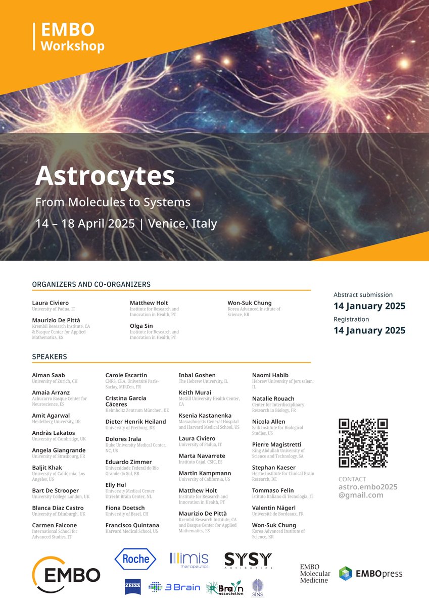 m_depitta's tweet image. Program and Registrations are finally available for the @EMBO #Workshop "#Astrocytes: From Molecules to Systems" at the @univiu in San Servolo Island in #Venice IT April 14--18 2025. Please #share #disseminate #retweet meetings.embo.org/event/25-astro…