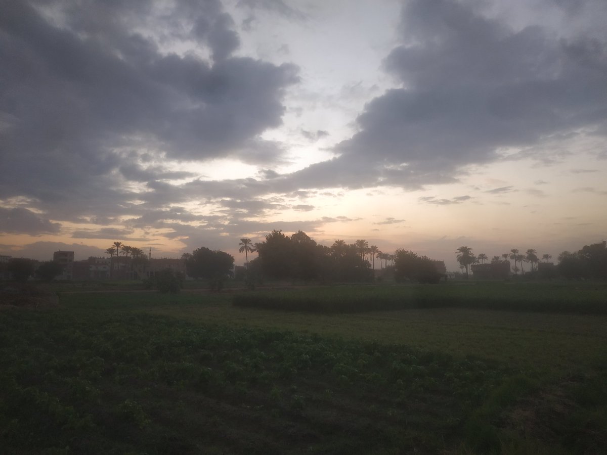 أجواء رائعه ❤️