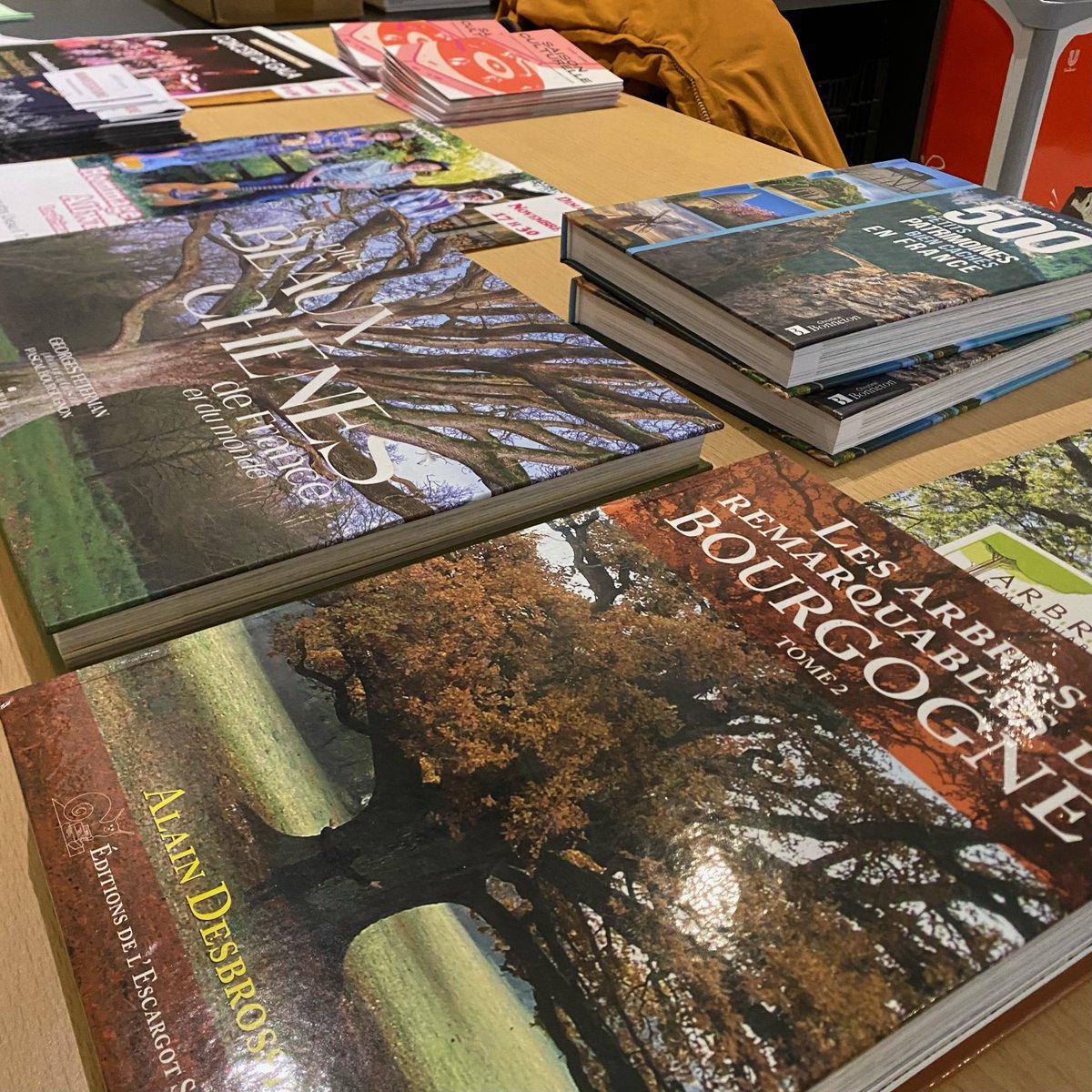 RioBorvo's tweet photo. 📷Retour en Images 📷"Arbres et Forêts remarquables, un univers à explorer"
avec la communauté de communes Entre Arroux loire et somme. 50 spectateurs ravis de rencontrer  Georges Feterman, le réalisateur et Alain Desbrosse, un ingénieur écologue. Merci à @AgenceMUSEO https://t.co/6VgZdRiBQy