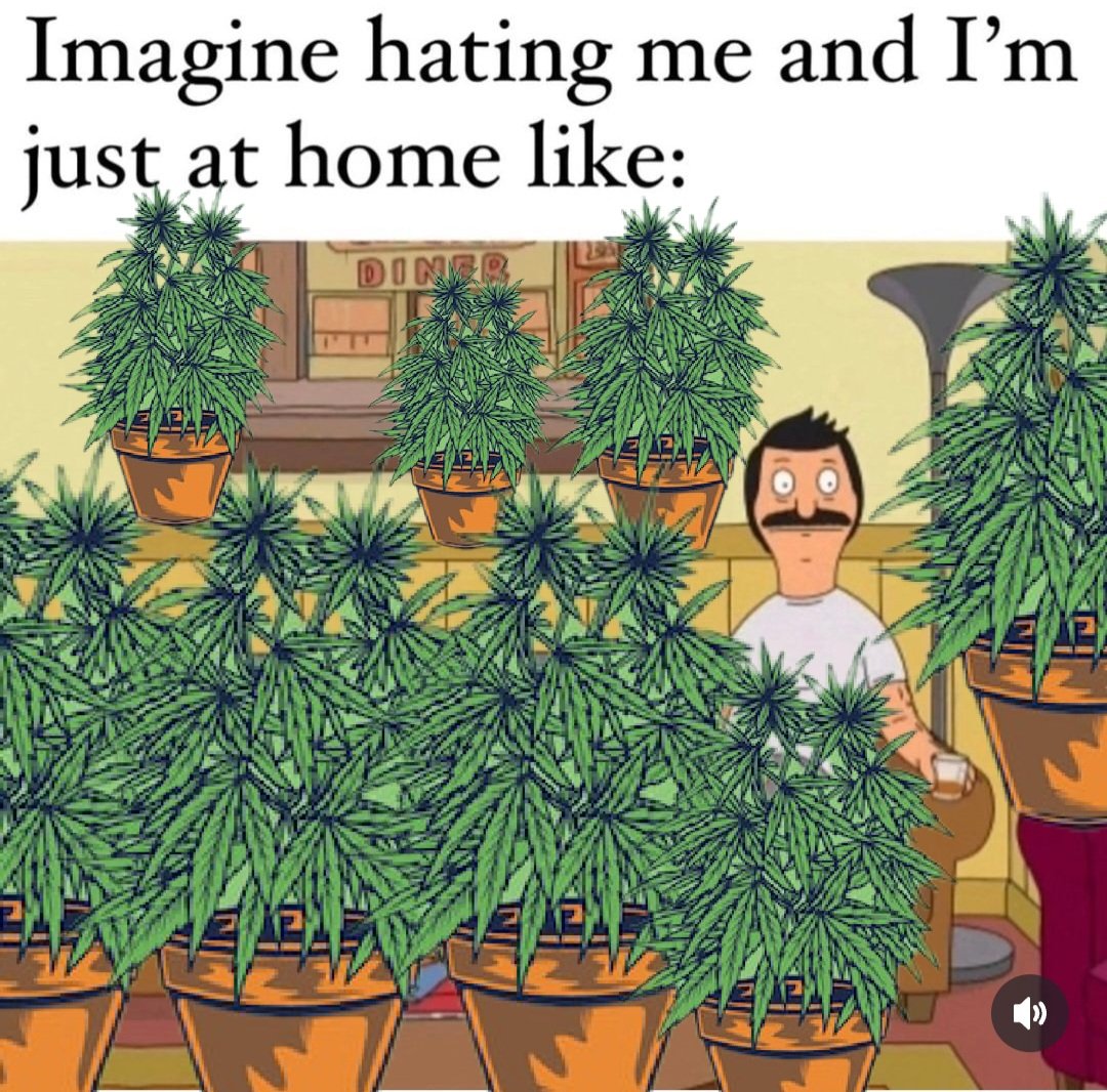 FlyingSwordzman's tweet photo. Imagine.....

#cannabis #cannabiscommunity #weed #marijuana #cbd #thc #cannabisculture #weedporn #weedstagram #hightimes #hemp #stoner #indica #sativa #maryjane #medicalmarijuana #highlife #kush #ganja #growyourown #weedlife #highsociety #cannabissociety #dabs #smoke #dank https://t.co/gziJCv5BW0