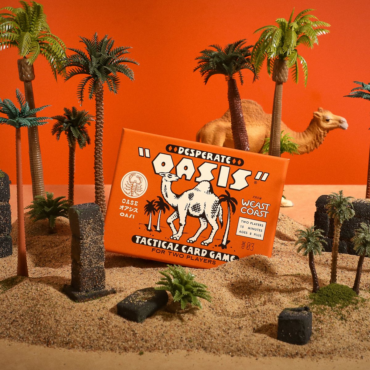 Dan Cassaro tweet media