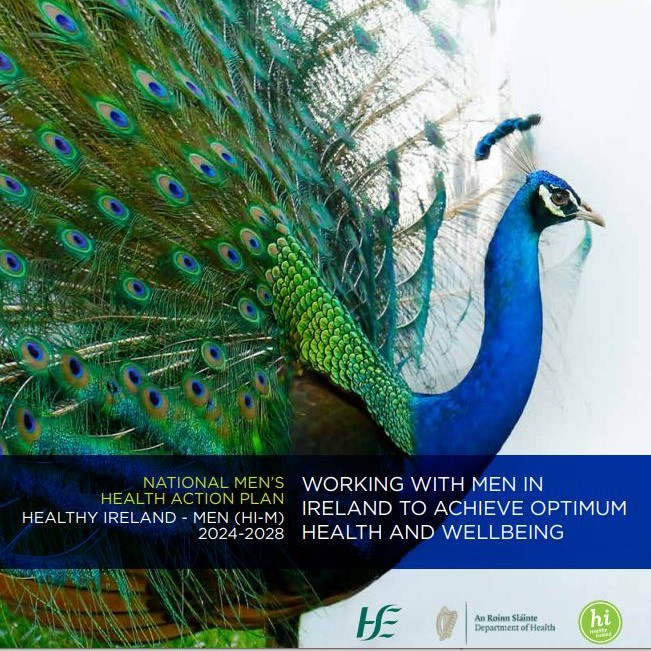HSELive's tweet photo. Today, we launched the 2nd National Men’s Health Action Plan, Healthy Ireland – Men (2024-2028) with our partners and @roinnslainte. It includes actions to promote #MensHealth on a number of health topics with a focus on health inequalities: https://t.co/nYc9vX2SgB https://t.co/gGEQooCvn1