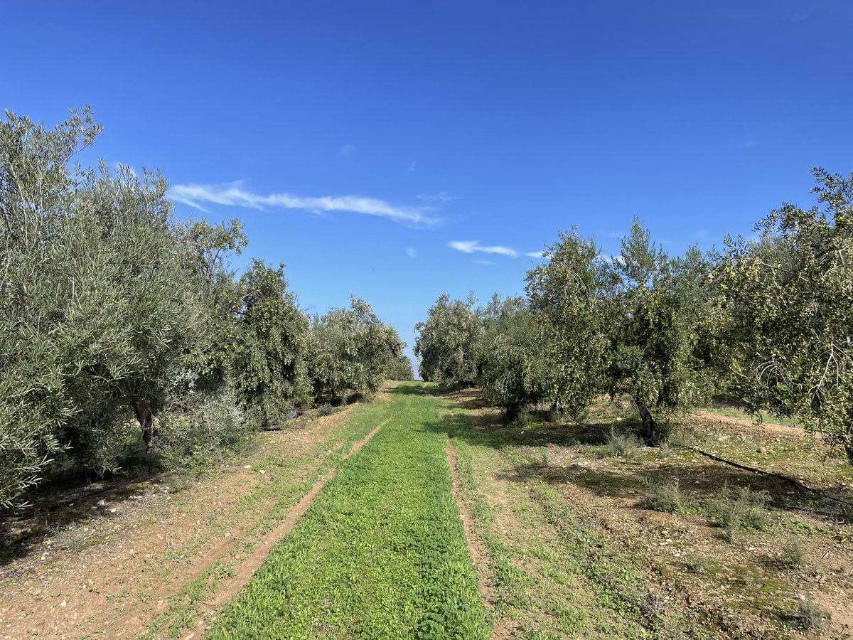 Magda BOU DAGHER (@magdaboudagher) on Twitter photo 