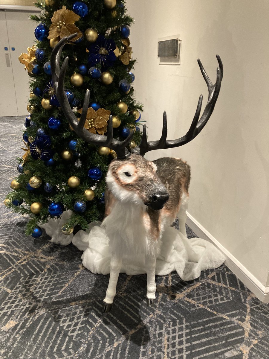 Why not give yourself the gift of a career in teaching this Xmas?  Talk to us at the#Getintoteaching info event at the BCEC in Birmingham - we’re waiting for you <a href="/UoD_SecPGCE/">University of Derby Secondary PGCE with QTS</a> <a href="/UoDPrimaryITE/">DerbyUniPrimaryITT/E</a>