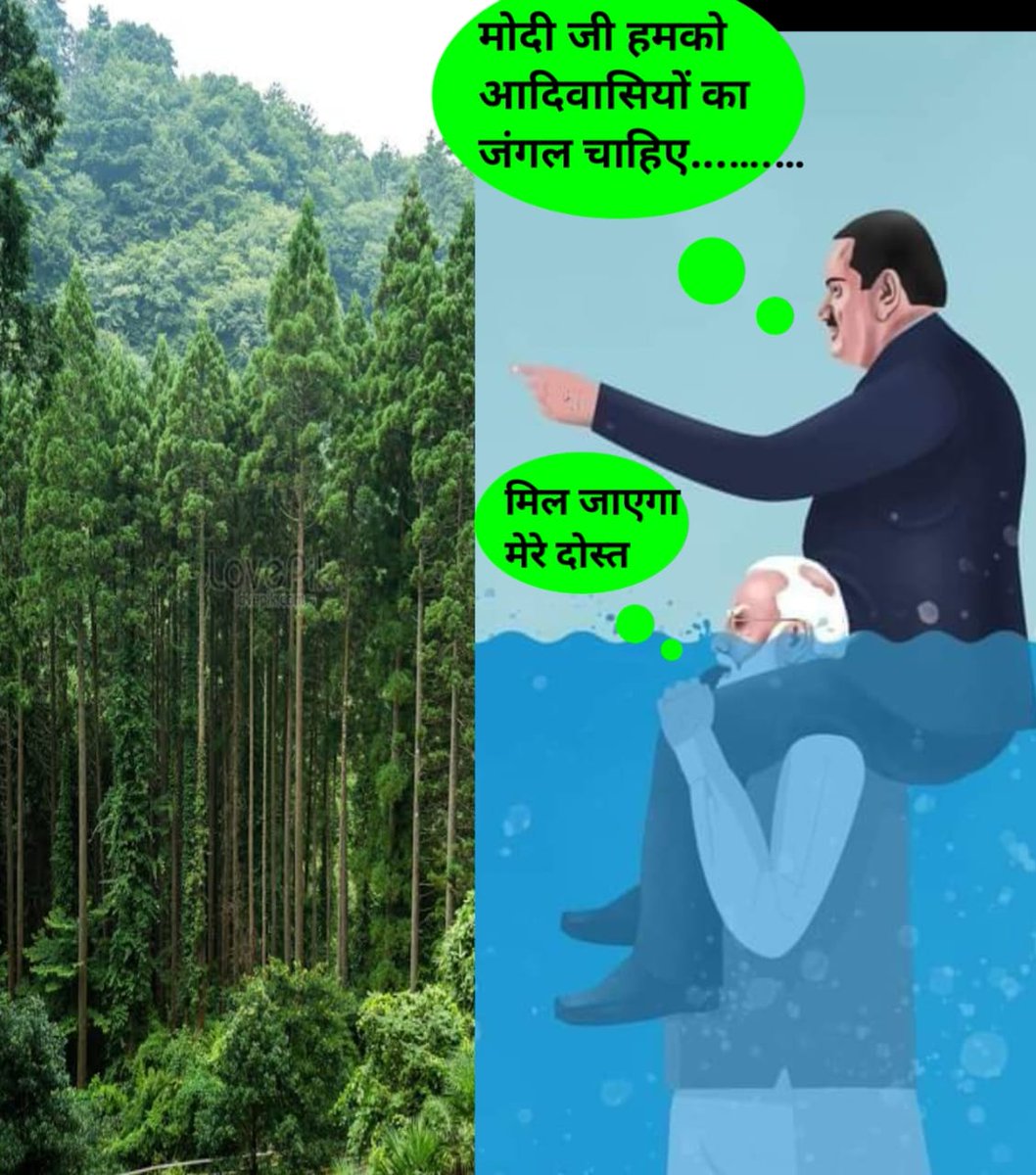 एक पेड़ मां के नाम, लाखों पेड़ अडानी के नाम !