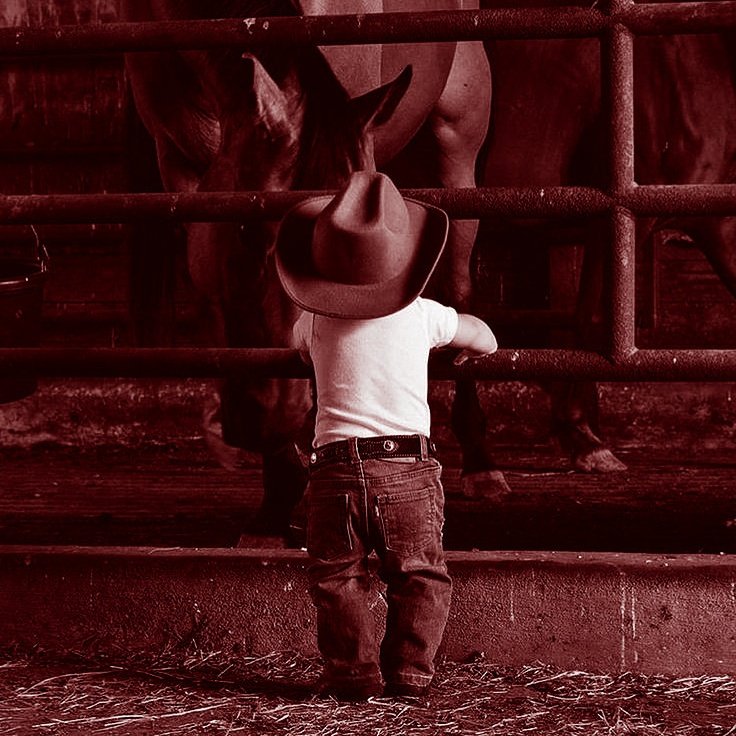 ᅠㅤㅤㅤᚐ҉◌ 𝗥𝗶𝗱𝗲 𝗔 𝗖𝗼𝘄𝗯𝗼𝘆ㅤᅠᅠㅤㅤㅤᅠㅤ
ㅤᅠㅤ
ᅠㅤㅤ<a href="/OCARD0S0/">Miguel Cardoso</a> some photos of moments that I won't forget, I love you son