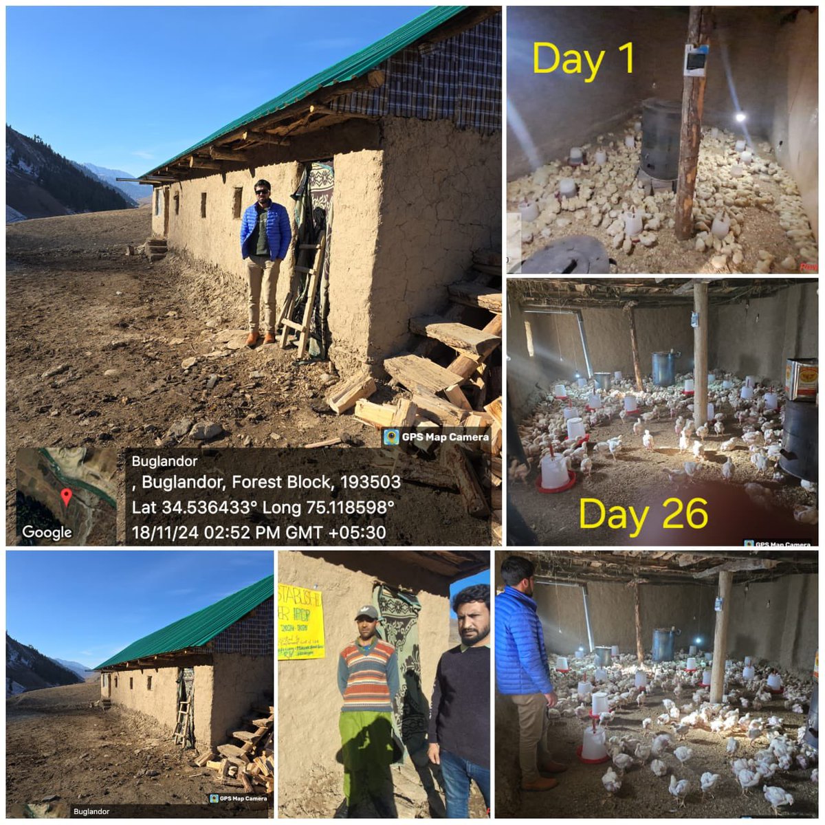 First time Establishment of Poultry farm at Village Hussaingam Tulail of Gurez Sub Division under IPDP by Animal Husbandry Gurez 
<a href="/dicbandipora/">Information & PR, Bandipora</a> <a href="/dcbandipora/">Deputy Commissioner Bandipora</a> <a href="/ahd_bandipora/">Information and PR AHD Bandipora</a>