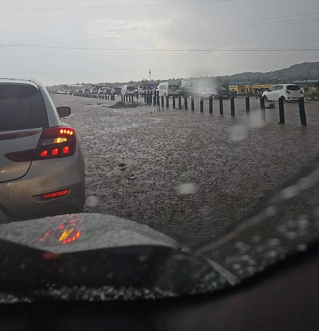 Limpopo Chronicle tweet media