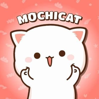 Mochi Cat tweet media