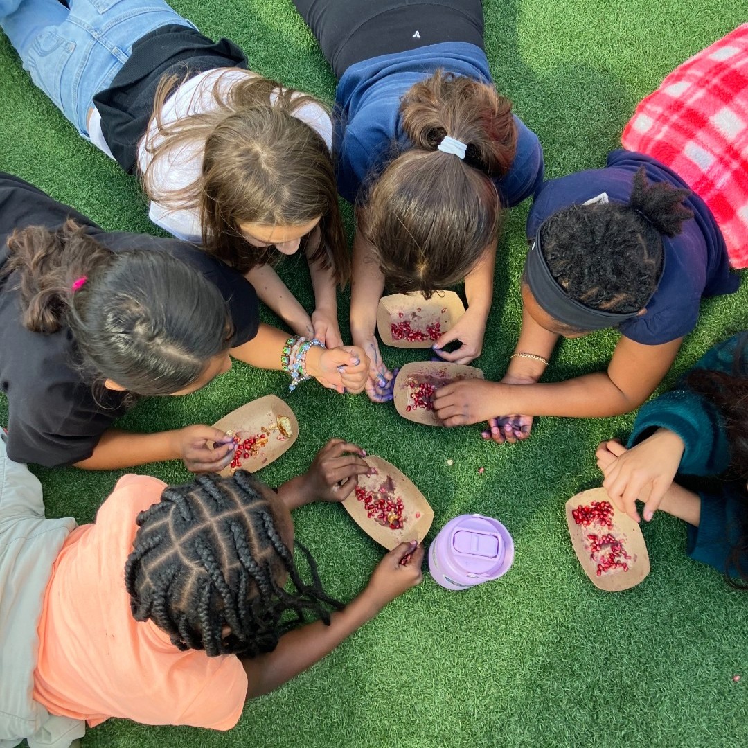 Ground Education tweet media