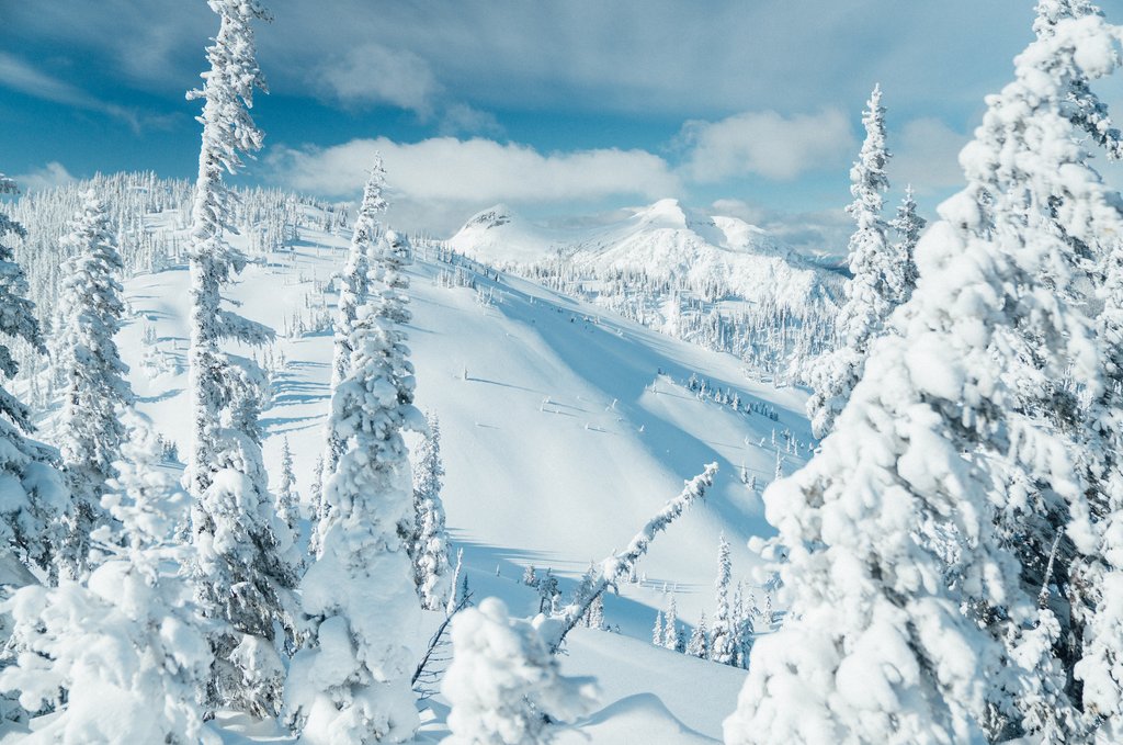 Tag your favorite ski buddy below, and show them some love!
•
•

#skiing #skis #ski #renounskis #renoun #mountains #winter #peaks #adventure #backcountry #snow #pow #snowing #powderday #powday