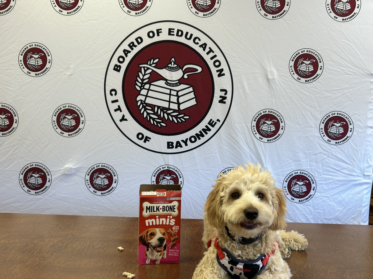 Bayonne High School tweet media