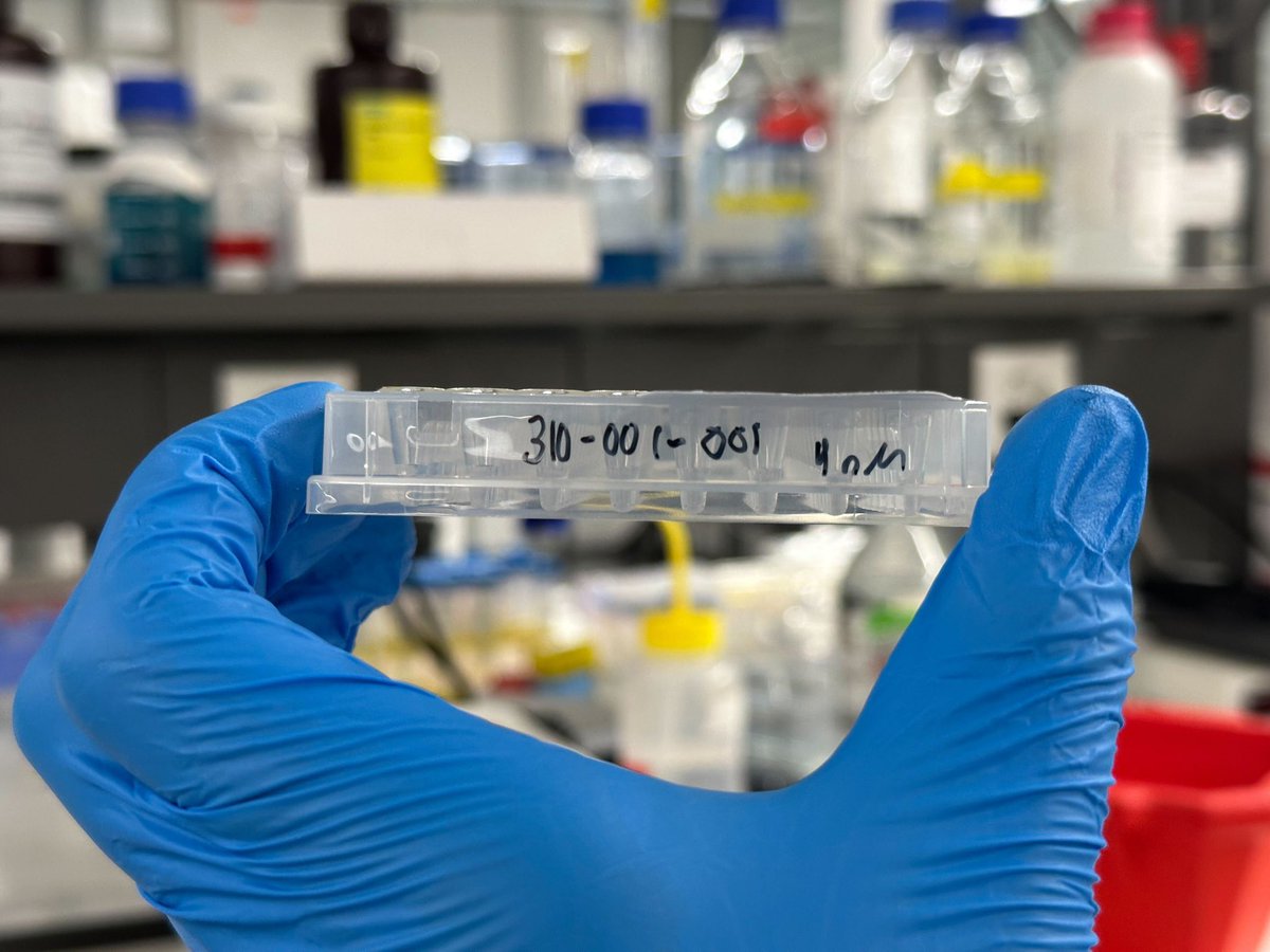 kooshiar's tweet photo. AI-Generated Proteins Achieve 84% Expression Success in the Lab.

https://t.co/HebMePuWNU https://t.co/lo35E1NYLj