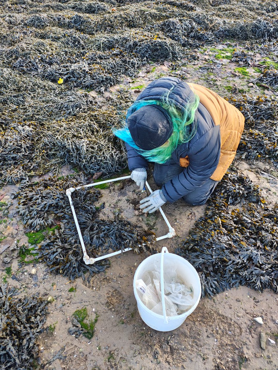 Charlotte Jennings tweet media