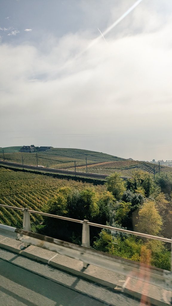 furemin1's tweet image. #Queen の旅 5日目②🐌…
🇨🇭ｼﾞｭﾈｰﾌﾞからレマン湖へ移動
🚌💨 (前回は電車🚃)
広がる葡萄畑🍇🍷…
山🗻と湖の美しさに感涙🥲💞
 #StudioExperience の側の
🏨HOTEL  #EdenPalace 
夢のよう…🥹💕   ( 続きます)
 #パーパスジャパン