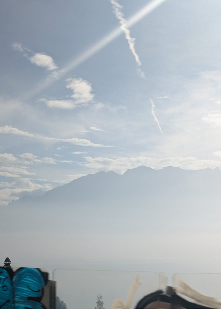 furemin1's tweet image. #Queen の旅 5日目②🐌…
🇨🇭ｼﾞｭﾈｰﾌﾞからレマン湖へ移動
🚌💨 (前回は電車🚃)
広がる葡萄畑🍇🍷…
山🗻と湖の美しさに感涙🥲💞
 #StudioExperience の側の
🏨HOTEL  #EdenPalace 
夢のよう…🥹💕   ( 続きます)
 #パーパスジャパン