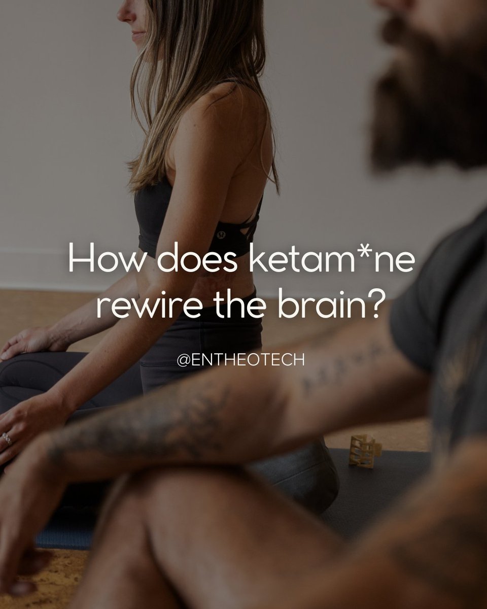 EntheoTech tweet media