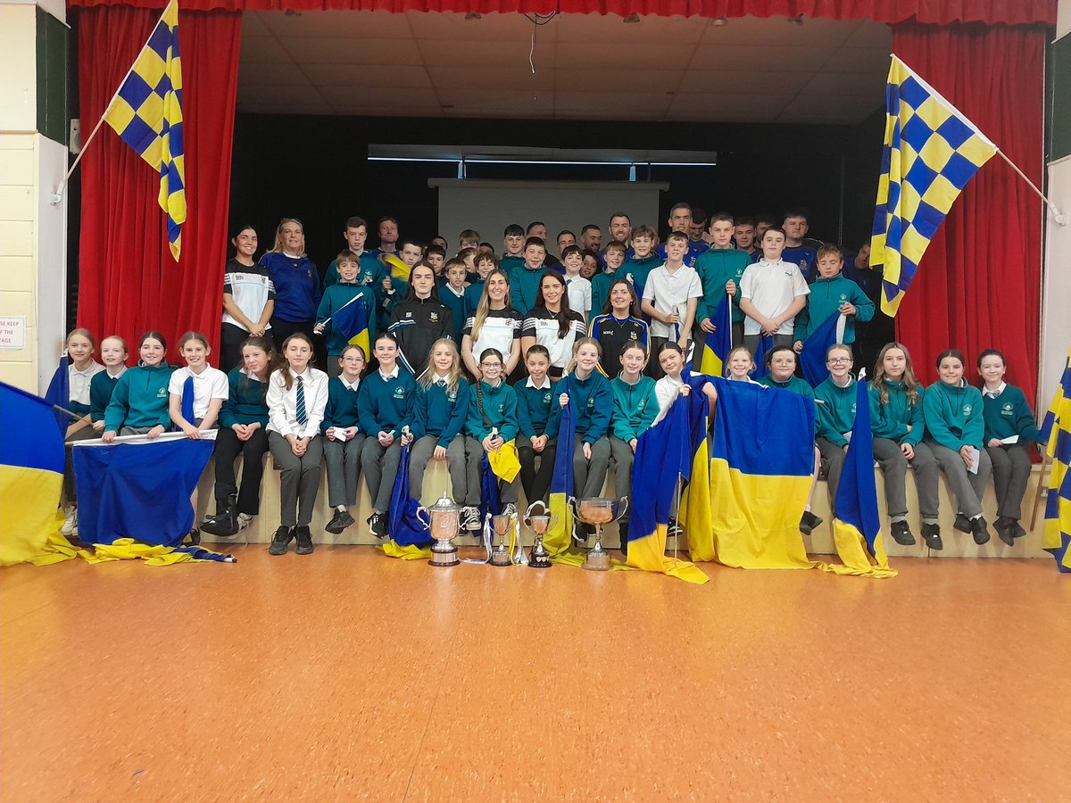 Carrigaline GAA Games Promotion Officer tweet media