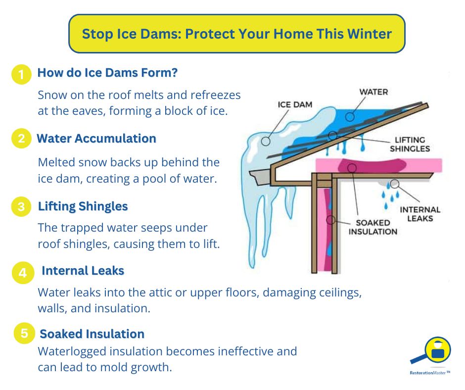 RestorationMstr's tweet image. Ice dams can cause major water damage by lifting shingles and leaking into your home. Want to learn how to prevent and remove them? Check out our blog for expert tips! #restorationmaster #icedams #wintersafety #homesafety #waterdamage
restorationmasterfinder.com/restoration/ic…