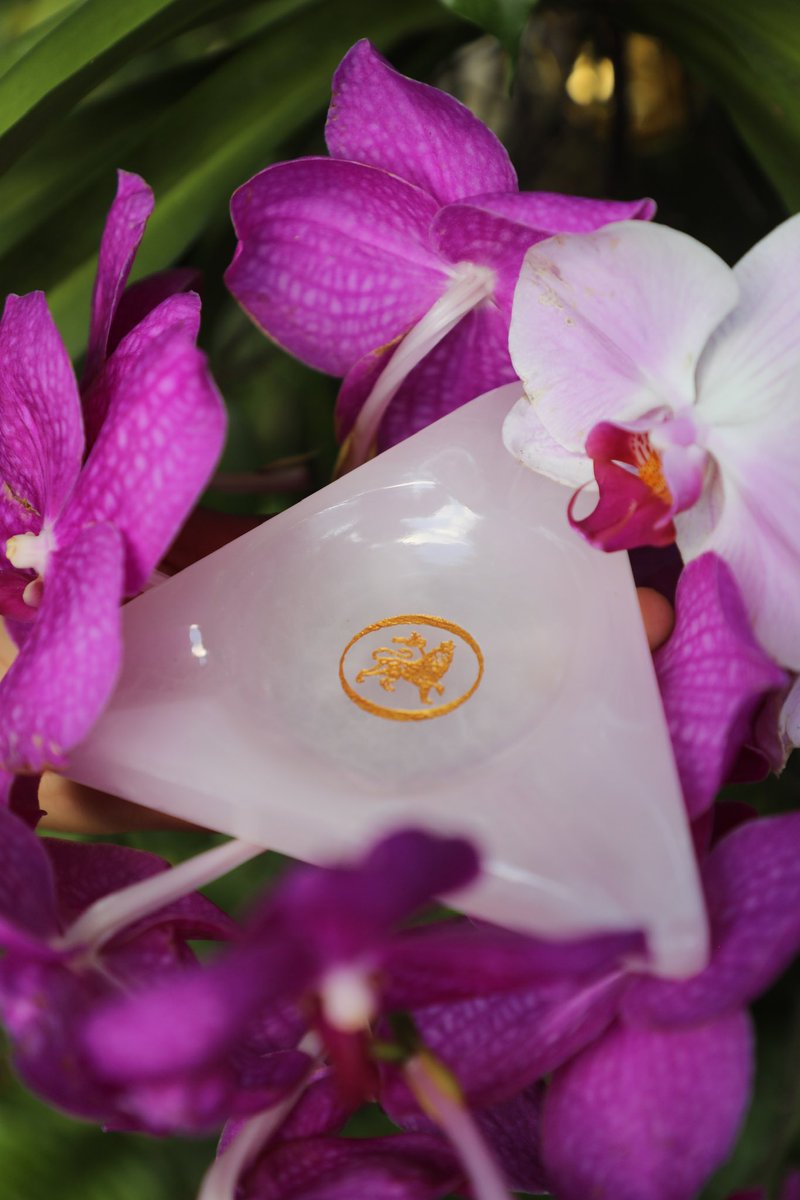 🍃Flower to the people🍃

Our offerings are more than just herbs—they’re a reflection of deep-rooted beliefs and the Irie way of life.