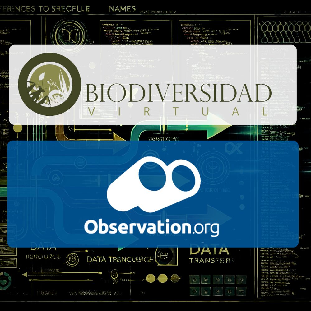 ¡2,5 millones de imágenes migradas de @bvwebrs  Observation.org! 🎉 Mil gracias 🙏 al equipo técnico y a l@s voluntari@s que hicieron esto posible, asegurando calidad y fidelidad. Juntos avanzamos en la ciencia ciudadana.🙌
#Gracias
#Biodiversidad
#ObservationOrg